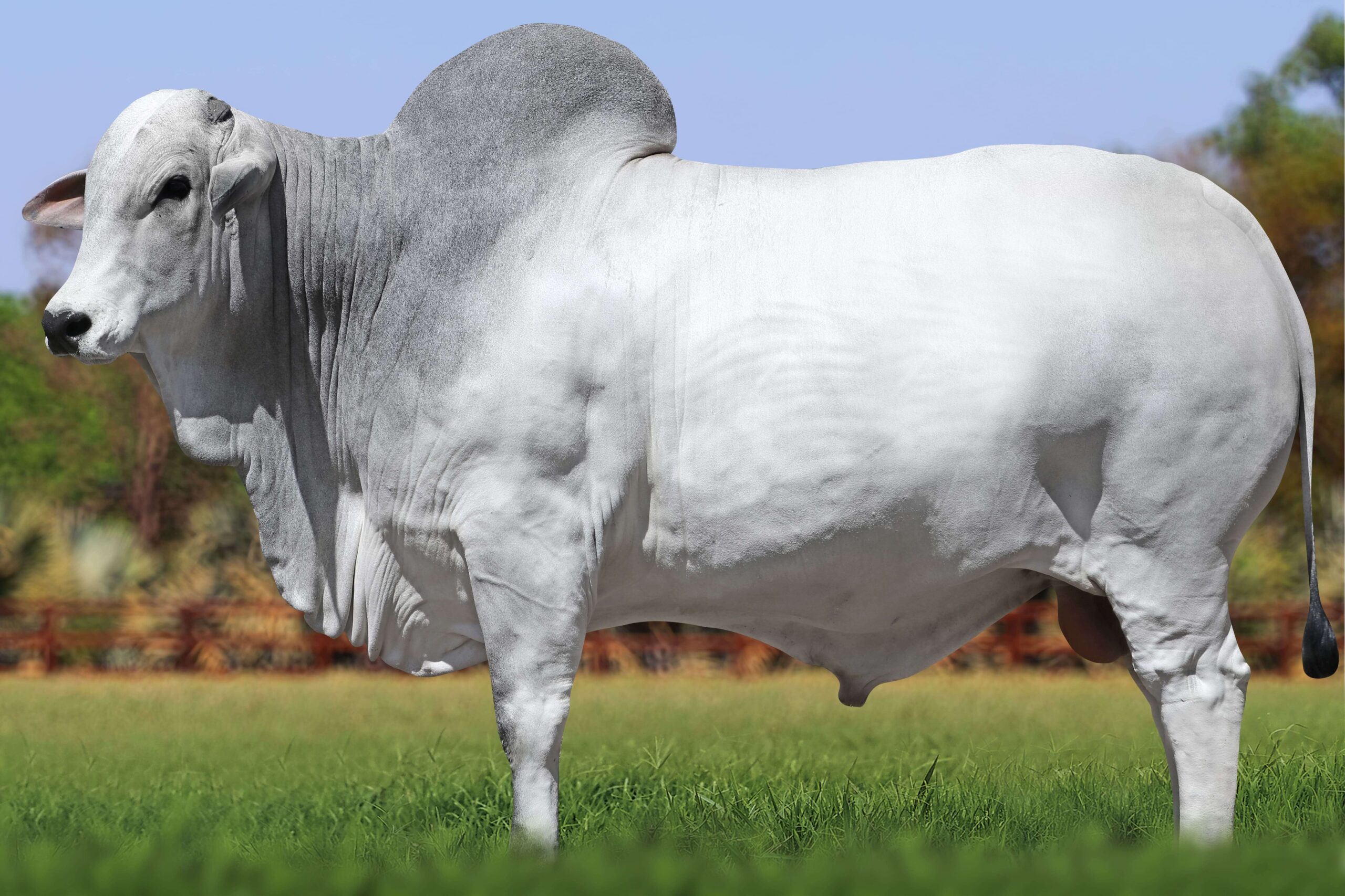 UNIVERSO FIV TERRA BRAVA